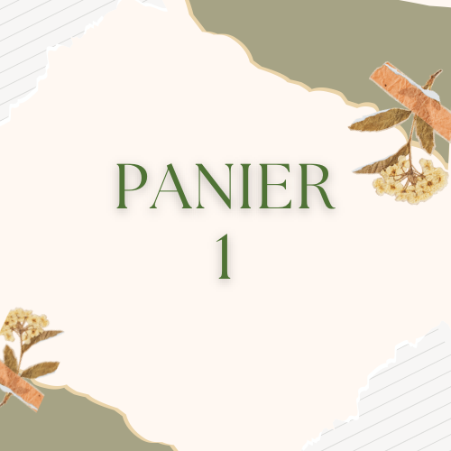 Panier 1 - Solyne