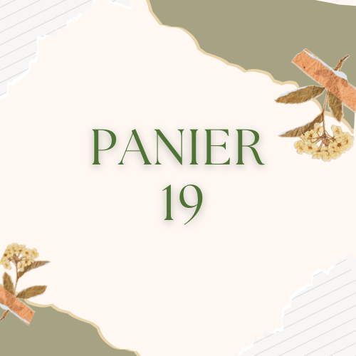 Panier 19 - sonia sbo